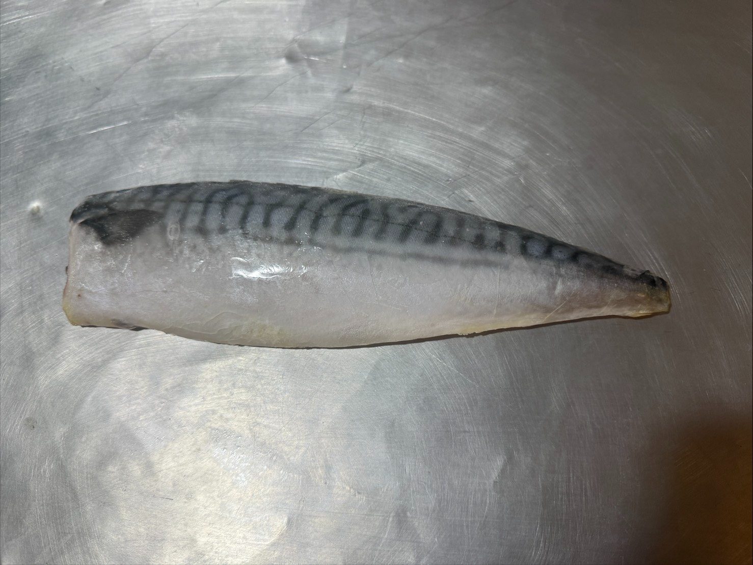 ノルウェーサバ フィレ Lサイズ 約200g=SABA200